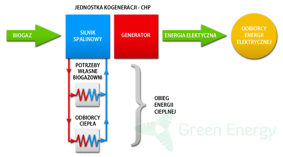 schemat kogereracji