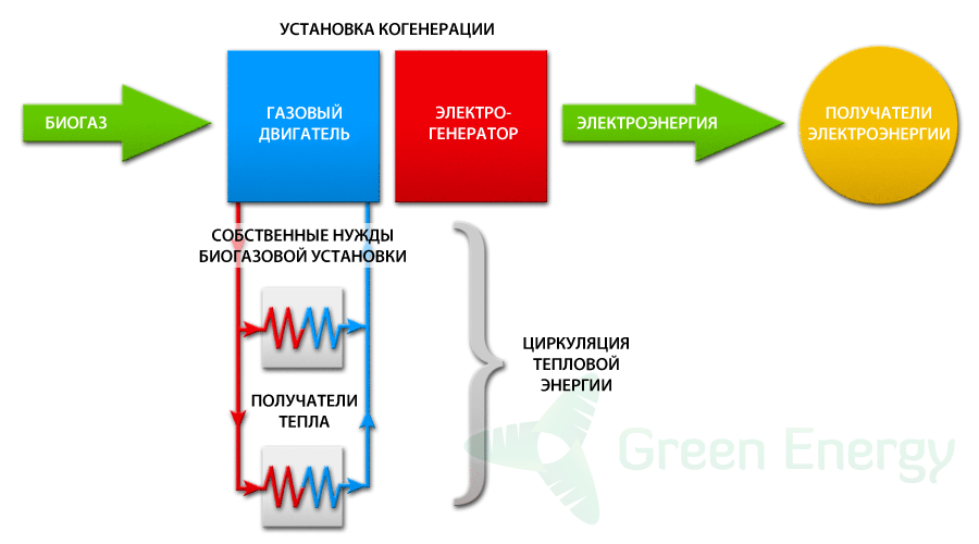 schemat kogereracji